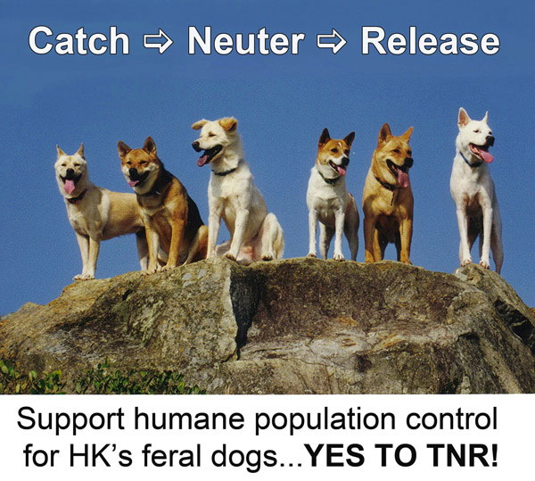 YES-to-TNR-poster.jpg