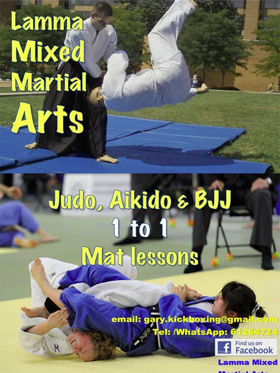 Mixed-Martial-Arts-140606.jpg