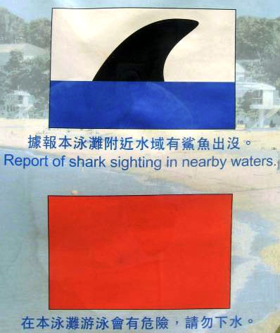 Shark-flags.jpg