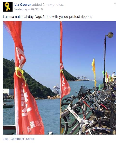 Liz-Gower-Occupy-Lamma.jpg