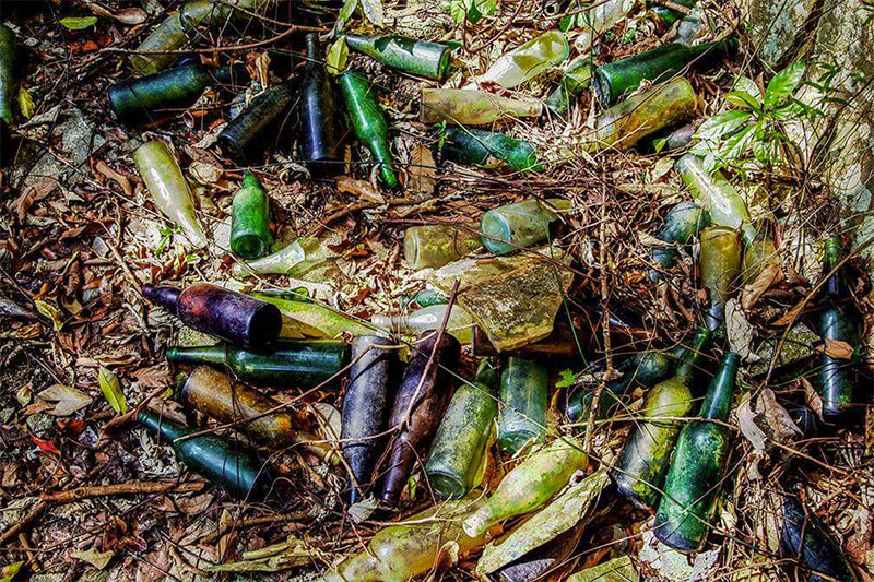 Andy-Maluche-Forest-Bottles-wp.jpg