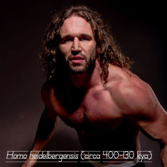 Homo-Heidelbergensis.jpg