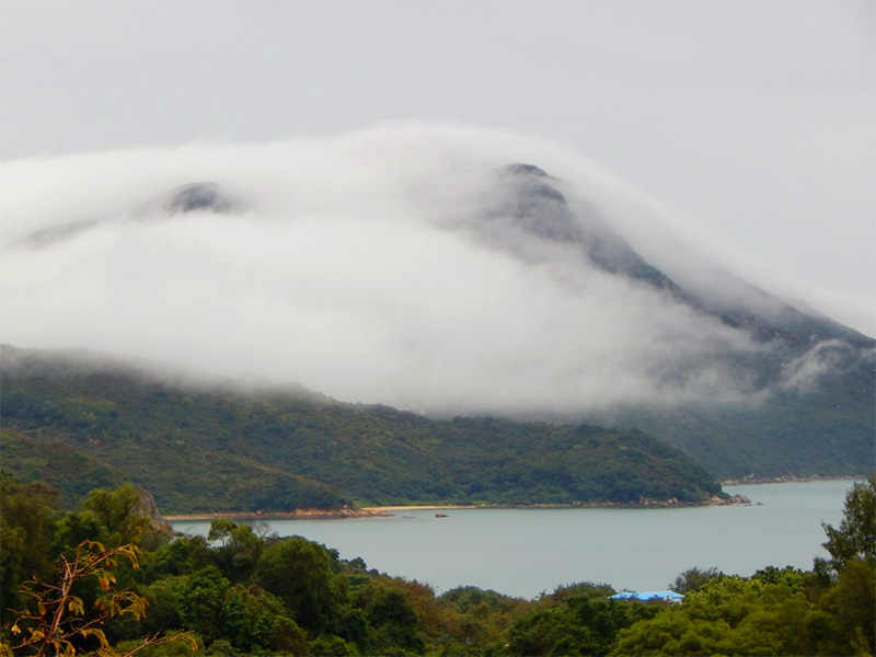 Goat-Maison-Soggy&Misty-Lamma.jpg