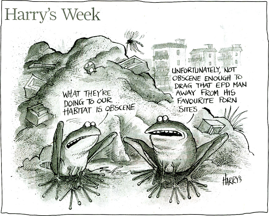 Harry'sWeek-Lamma.jpg