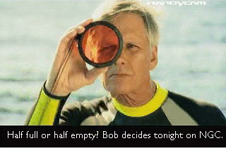 Bob.decides.tonight.jpg