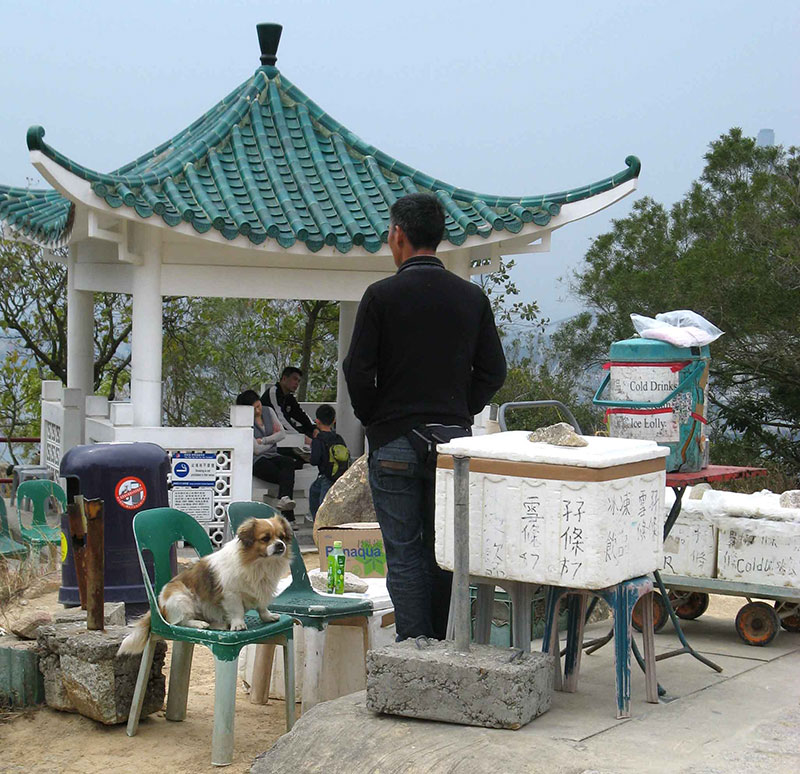 Assistant-Drinks-Vendor.jpg