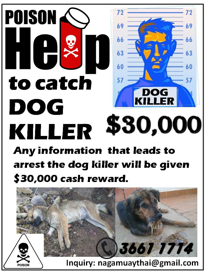 Wanted Poster 3.jpg