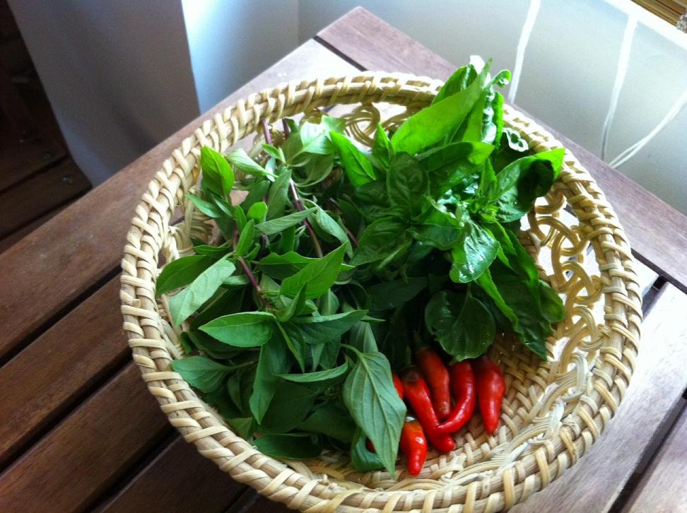 Basil and Chillie on Table.JPG