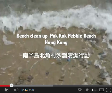 Brands-on-the-Beach-video-rev.jpg